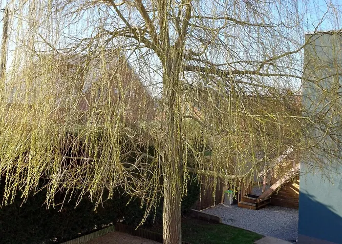 L'evasion Thudinienne, Et